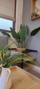 Fotografie z fotogalerie ubytování Leaf apartment v destinaci Blagoevgrad