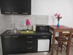 a kitchen with a sink and a counter with a microwave at Apartman Savić in Bar
