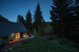 a small house in the woods at night at bis 4 Personen mit Infrarotsauna F2H9 in Ruhla