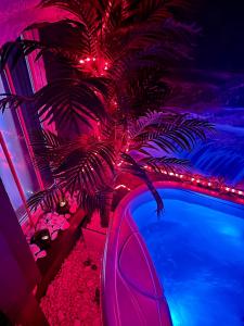 Πισίνα στο ή κοντά στο APARTAMENT z JACUZZI SPA