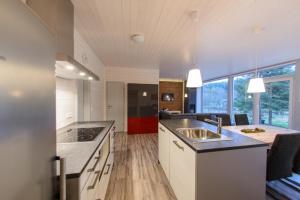 Kuchyň nebo kuchyňský kout v ubytování 4 Personen mit Sauna F3H3 + 8 fotografií