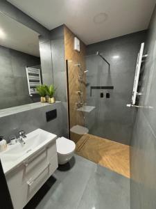 a bathroom with a shower and a toilet and a sink at Ami Luxury Residence XII CENTRUM - możliwość REJSU ŁODZIĄ in Iława