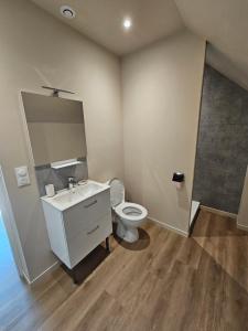 a bathroom with a white sink and a toilet at Les Gîtes du Moulin des Loups studios 3 et 6 in Saint-Amand-les-Eaux
