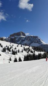 Chalet Buffaure a Parte durante l'inverno