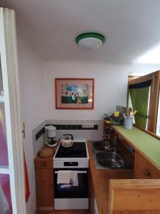 A kitchen or kitchenette at Franz Rudolf