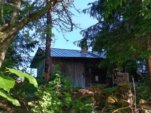 an old cabin in the woods with trees at Keltainen talo in Ylivieska