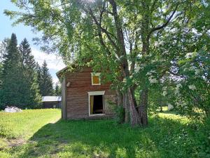 a small house with a tree in a field at Keltainen talo in Ylivieska +8 photos