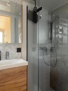 a bathroom with a shower and a sink at Meinsbur Boutique Hotel in Bendestorf +32 photos