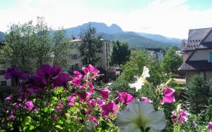 ザコパネにあるOasis Zakopaneの山を背景とした花畑