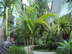 a group of palm trees in a building at Ricel homestay in Gili Trawangan