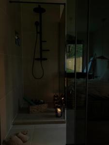 a bathroom with a shower with shoes and a bed at 99 Maison by Noire - Deluxe Bungalow Sibiu -Adults Only in Sibiu +72 photos