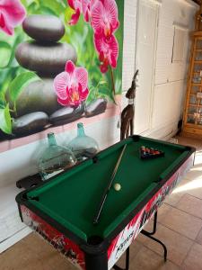 a pool table in front of a wall with flowers at Cortijo Luz de la Sierra in Dúdar