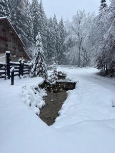 Chiba Chalet v zimě