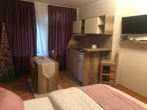 Habitación con cama y cocina con escritorio. en Apartments Dunja, en Novi Sad