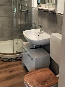 a bathroom with a sink and a shower and a toilet at Bauernhof Gorihof in Aschau im Chiemgau +19 photos