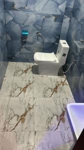 奥拉奇哈Hotel Paradise Inn的浴室配有白色卫生间和大理石墙。
