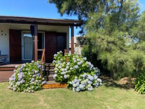 a house with a bunch of purple and white flowers at Cabaña Punta Negra in Punta Colorada
