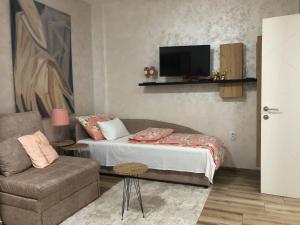 Un dormitorio con una cama, un sofá y un televisor. en Apartments Dunja, en Novi Sad