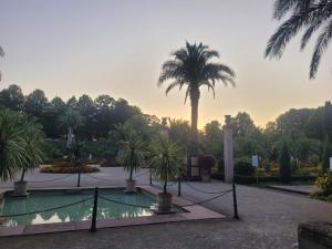 a courtyard with a palm tree and a pool at STAY Apartment Bergblick 4 Personen Parkplatz zentral in Bad Pyrmont