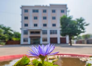 Fotografie z fotogalerie ubytování Lotus Leaf v destinaci Pāli