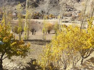 Gallery image of Old Likir Traditional Farm Stay in Leh