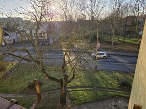 Phong cảnh thiên nhiên gần căn hộ