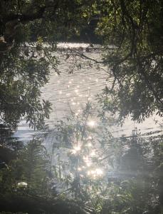 Φυσικό τοπίο κοντά σε αυτό το διαμέρισμα