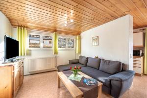 TV a/nebo společenská místnost v ubytování Haus Schöneck