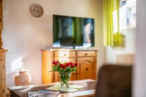 TV a/nebo společenská místnost v ubytování Haus Schöneck