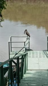 Φωτογραφία από το άλμπουμ του Puertohumo σε Puerto Humo