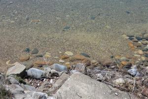a group of rocks on the shore of a body of water at South Cottage on Torch Lake in Alden
