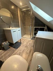 een badkamer met een toilet, een wastafel en een douche bij gites des cigognes in Duinkerke +36 foto's