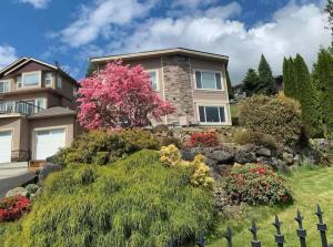a house with a pink tree in the yard at Garden House Near Heritage Park-Coliseum -HWY 1-Fishing-Golfing in Chilliwack