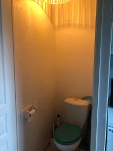 a bathroom with a toilet with a green seat at Lau Anaiak in Bidart