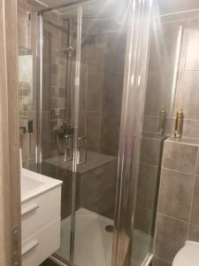 a shower with a glass door in a bathroom at La Romantique in Paris +62 photos