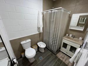 a bathroom with a toilet and a shower at A solo 15min del aeropuerto EZEIZA in Ezeiza