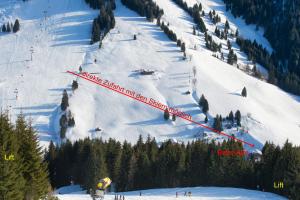 ein Skifahrer geht einen schneebedeckten Hang hinunter in der Unterkunft Designer-Chalets in Dienten am Hochkönig