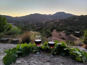 two glasses of wine sitting on top of a hill at Cabaña entre parras in Curacaví
