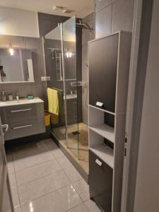 a bathroom with a shower and a sink at Gite l'Embellido in Mouriès