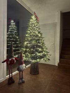 Fotografie z fotogalerie ubytování LA ROSA DEL SILE v destinaci Quarto dʼAltino