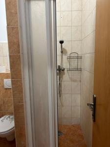 een badkamer met een toilet en een douchecabine bij 1 st may plaza de luxe in Bratislava +10 foto's