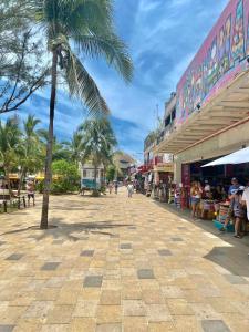 a palm tree in the middle of a street at 5th Av Studio Close to the Beach ADO Ferry & Mall in Playa del Carmen