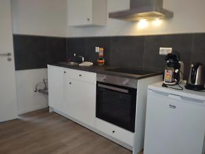 Kuchyň nebo kuchyňský kout v ubytování Altstadt Bonn mit eigenem Parkplatz und Garten + 7 fotografií