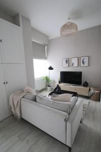 Et opholdsområde på Modern Flat in Central Edinburgh