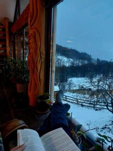 Foto dalla galleria di Tărâmul De Vis a Perişani