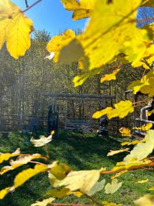 Foto dalla galleria di Tărâmul De Vis a Perişani