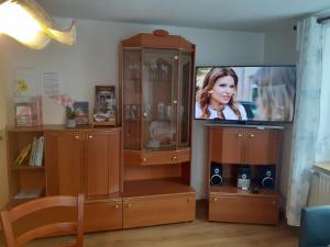 a entertainment center with a television in a living room at FeWo Spreequelle in Herrnhut