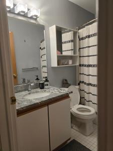 a bathroom with a sink and a toilet and a shower at Entire 2-bedroom, 2 bath home with parking and newly renovated floors in Canton