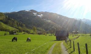 Fotografia z galérie ubytovania Haus Fankhauser v destinácii Dorfgastein