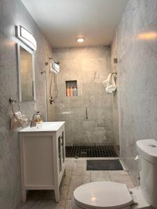 a bathroom with a toilet and a sink and a shower at The Moko Jumbie House - Premier Suite in Christiansted
